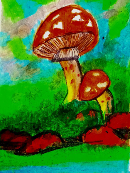 Mushrooms In The Green Forest (PRT-16419-107395) - Canvas Art Print - 23in X 30in