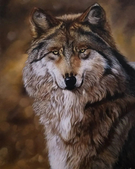 Alpha (ART-7786-107730) - Handpainted Art Painting - 18in X 24in