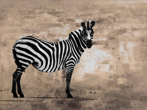 Zebra,Animal,Wild life,Zoo Animal,Strips