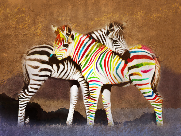 Zebra,Animal,Wild life,Zoo Animal,Strips