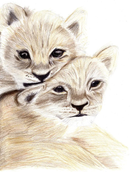 2 Lion Cubs (ART-15368-109645) - Handpainted Art Painting - 8in X 11in
