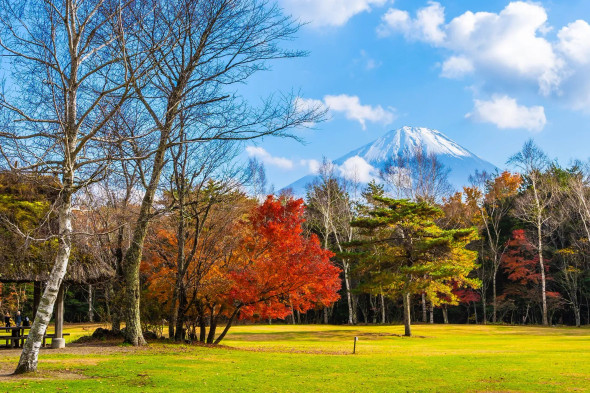Mountain View Mt Fuji In Japan In Autumn (PRT-8645-109995) - Canvas Art Print - 36in X 24in