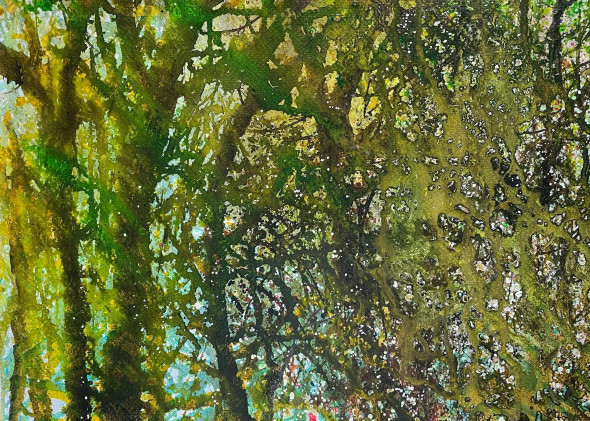 Dappled Light In A Forest (PRT-8841-111860) - Canvas Art Print - 30in X 21in