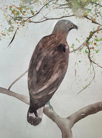 Bird 15 (ART-8841-113149) - Handpainted Art Painting - 8in X 11in