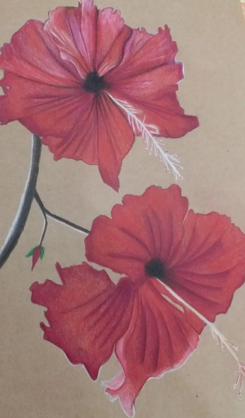 The Beauty Of Hibiscous (ART-15368-113688) - Handpainted Art Painting - 11in X 16in