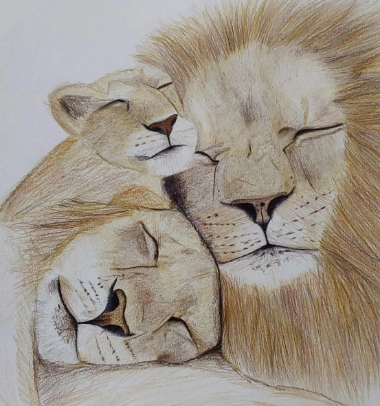 Lion Family (ART-15368-114059) - Handpainted Art Painting - 11in X 16in