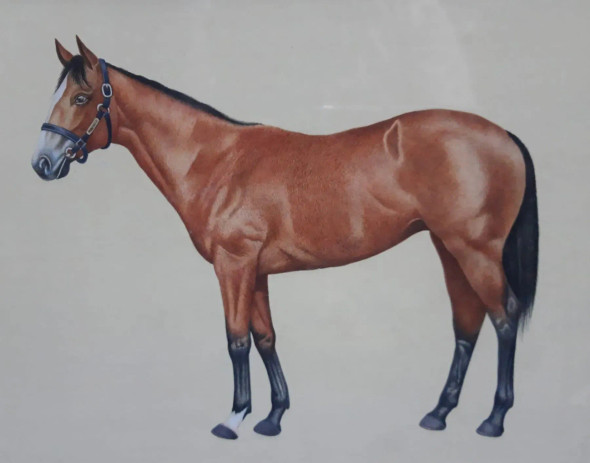 Horse Canvas Wall Art Painting (ART-7555-114691) - Handpainted Art Painting - 24in X 24in