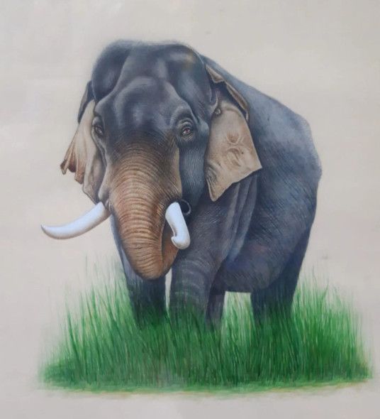 Elephant Painting Handmade Painting (ART-7555-114689) - Handpainted Art Painting - 24in X 18in