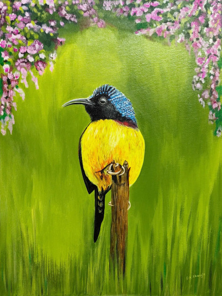 Green Tailed Sunbird (PRT-16489-114728) - Canvas Art Print - 18in X 24in