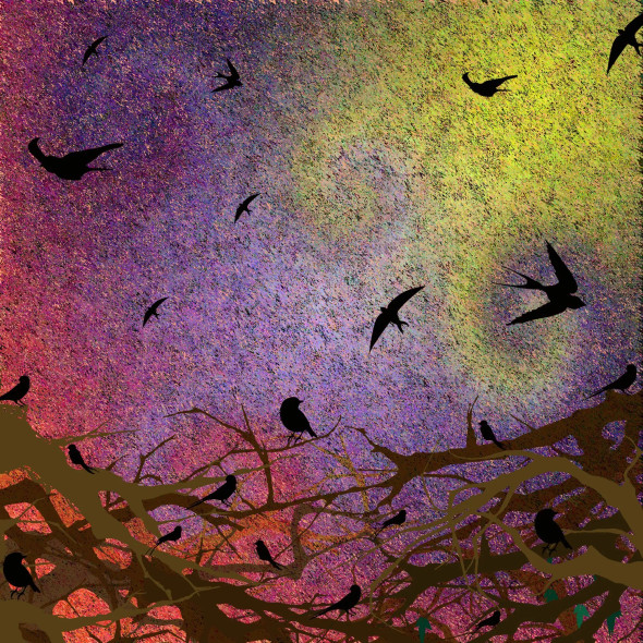 Bird Watch (PRT-1049-114734) - Canvas Art Print - 24in X 24in