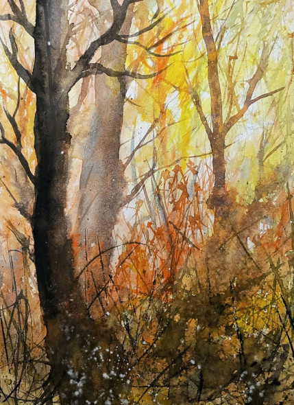 Autumn Hues (PRT-8841-114894) - Canvas Art Print - 17in X 24in
