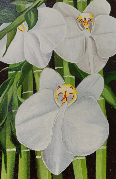 White Orchids (ART-15910-114906) - Handpainted Art Painting - 8in X 11in