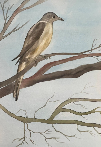 Bird 21 (ART-8841-115252) - Handpainted Art Painting - 8in X 11in