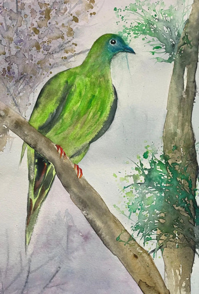 Bird 22 (PRT-8841-115253) - Canvas Art Print - 16in X 24in