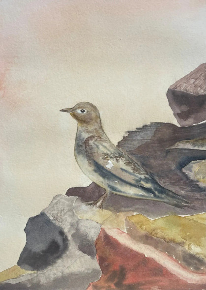 Bird 26 (ART-8841-115417) - Handpainted Art Painting - 8in X 11in