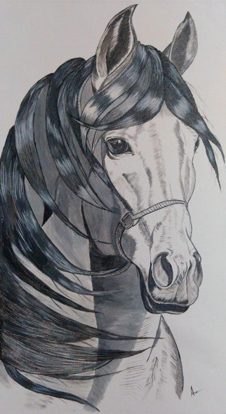 Majestic Grace - Horse Painting (PRT-15701-115446) - Canvas Art Print - 16in X 30in
