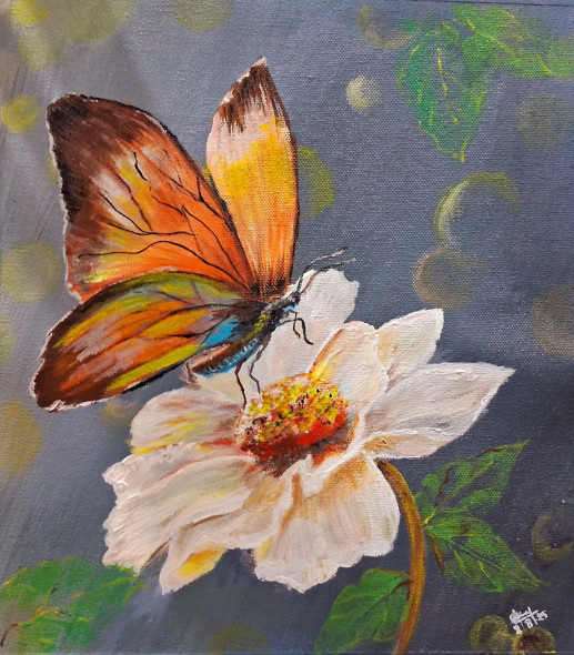 Butterfly On A White Flower (PRT-8347-115450) - Canvas Art Print - 21in X 24in