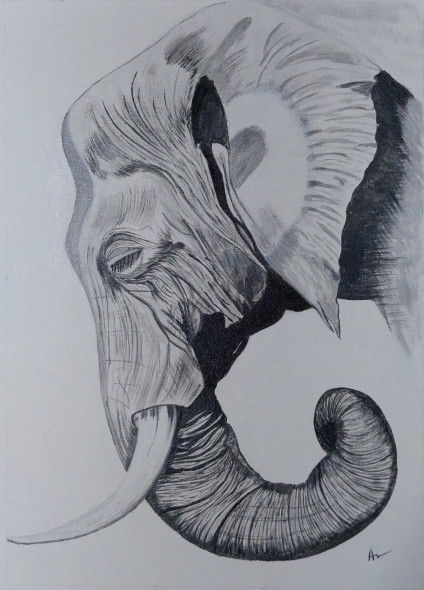 Elephant Painting (PRT-15701-115528) - Canvas Art Print - 17in X 24in