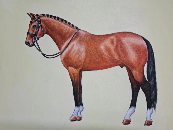 The Noble Steed (ART-2078-115719) - Handpainted Art Painting - 16in X 11in