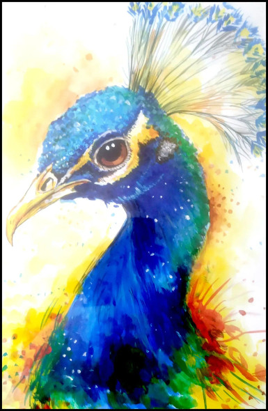 Peacock 02 (ART-17701-115807) - Handpainted Art Painting - 11in X 16in