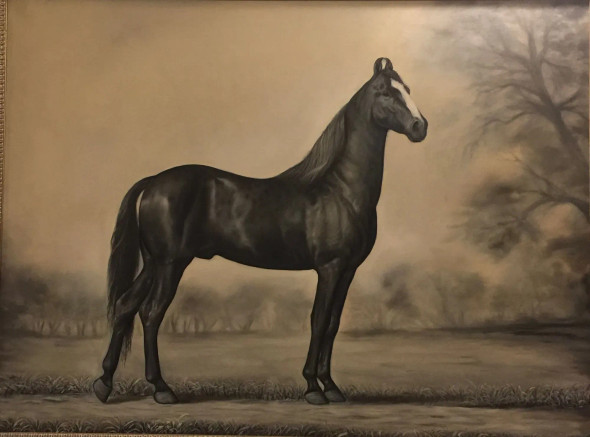 Majestic Stallion Shaan (ART-2078-115722) - Handpainted Art Painting - 48in X 36in