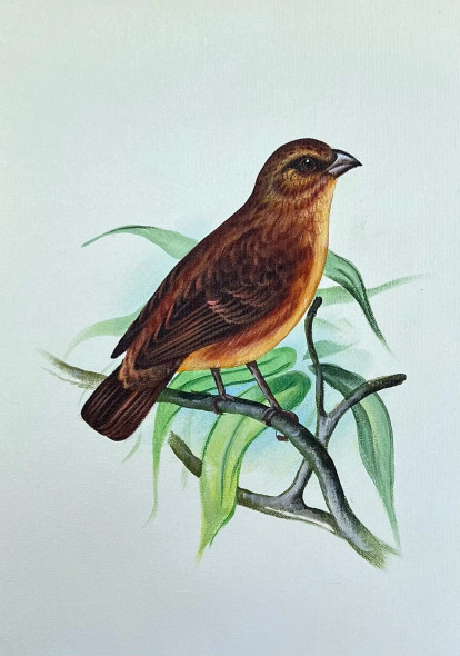 Bird Painting (ART-6706-115977) - Handpainted Art Painting - 12in X 15in