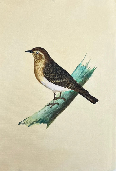 Bird Painting (ART-6706-115978) - Handpainted Art Painting - 12in X 15in
