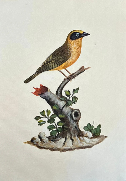 Bird Painting (ART-6706-115996) - Handpainted Art Painting - 12in X 15in