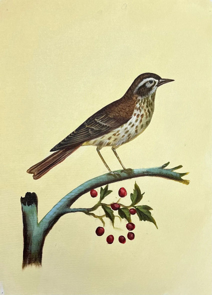 Bird Painting (ART-6706-116108) - Handpainted Art Painting - 12in X 15in