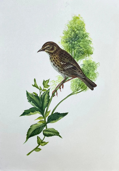 Bird Painting (ART-6706-116107) - Handpainted Art Painting - 12in X 15in