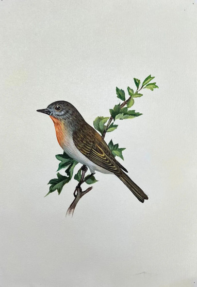 Bird Painting (ART-6706-116115) - Handpainted Art Painting - 12in X 15in
