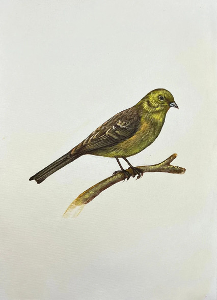 Bird Painting (ART-6706-116116) - Handpainted Art Painting - 12in X 15in