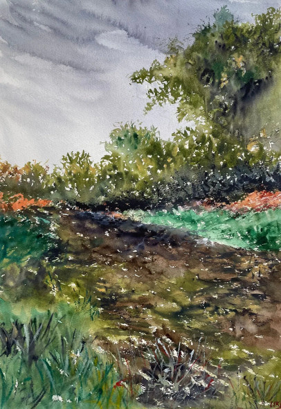 Marshy Swamp (ART-8841-116380) - Handpainted Art Painting - 10in X 14in