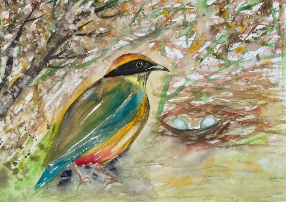 Bird 38 (ART-8841-116498) - Handpainted Art Painting - 11in X 8in