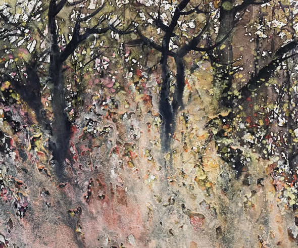 Mystical Forest In Autumn (PRT-8841-116512) - Canvas Art Print - 24in X 20in