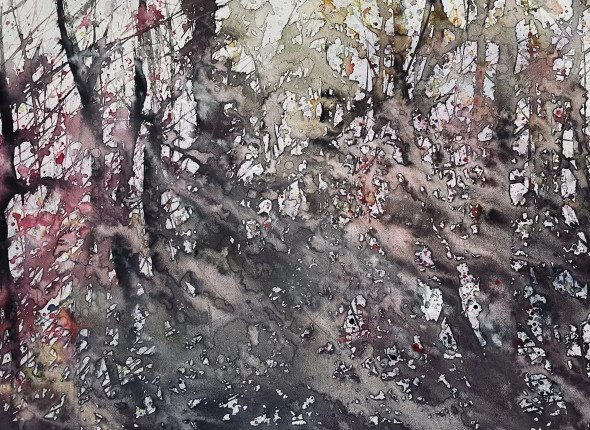 Swaying Woodland Scene (PRT-8841-116513) - Canvas Art Print - 30in X 22in