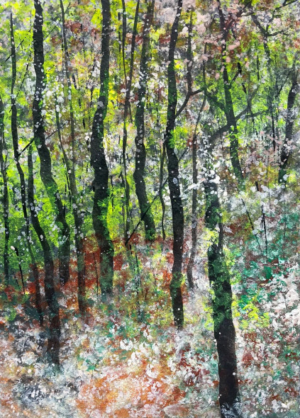 Forest In Bloom (PRT-8841-116556) - Canvas Art Print - 17in X 24in