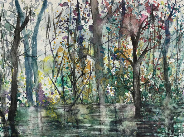 Colorful Forest In Springtime (PRT-8841-116828) - Canvas Art Print - 24in X 18in