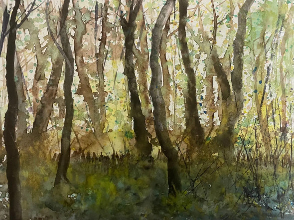 Enchanted Forest Scene (PRT-8841-116905) - Canvas Art Print - 24in X 18in