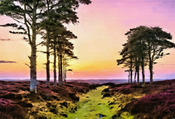 Sunset Whispers Through The Pines (PRT-15697-117047) - Canvas Art Print - 60in X 41in