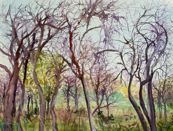 Trees In The Afternoon (ART-8841-117057) - Handpainted Art Painting - 15in X 10in