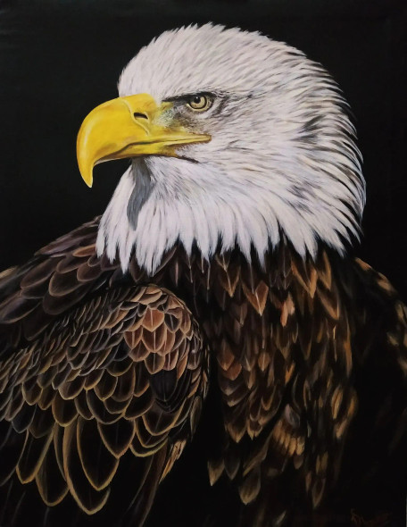 Eagle Portrait (ART-7786-117235) - Handpainted Art Painting - 18in X 24in