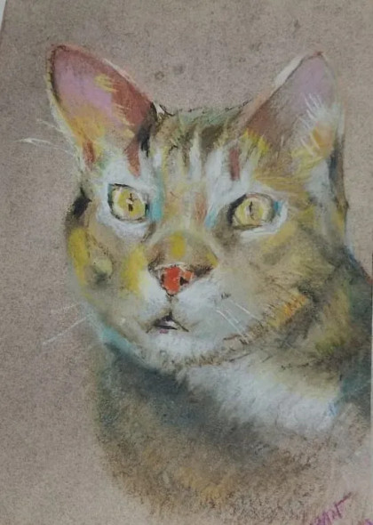 Cat (ART-15604-117331) - Handpainted Art Painting - 11in X 15in