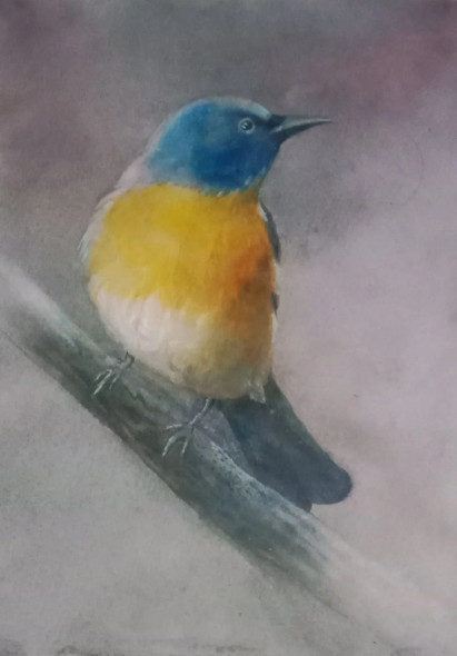 Bird (ART-15604-117366) - Handpainted Art Painting - 11in X 15in