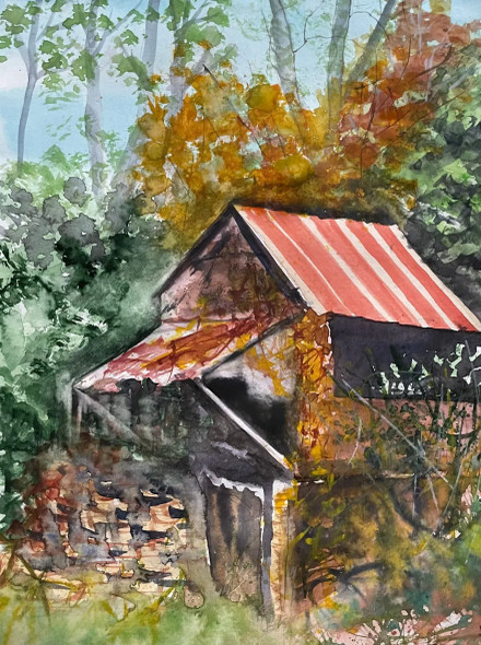 Abandoned House (PRT-8841-117457) - Canvas Art Print - 13in X 18in