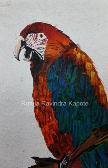 The Parrot (ART-17880-117446) - Handpainted Art Painting - 8in X 12in