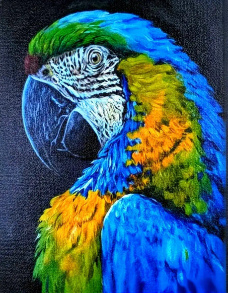 Macaw (ART-17941-117580) - Handpainted Art Painting - 12in X 12in