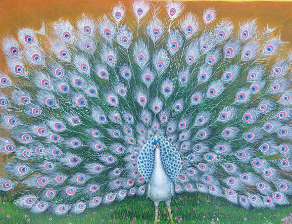 White Peacock (ART-15970-118371) - Handpainted Art Painting - 26in X 19in