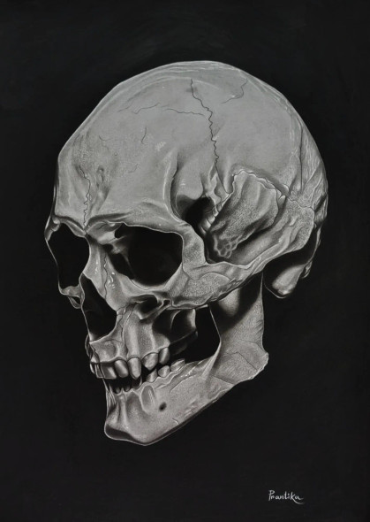 The Skull (ART-18115-119320) - Handpainted Art Painting - 12in X 17in