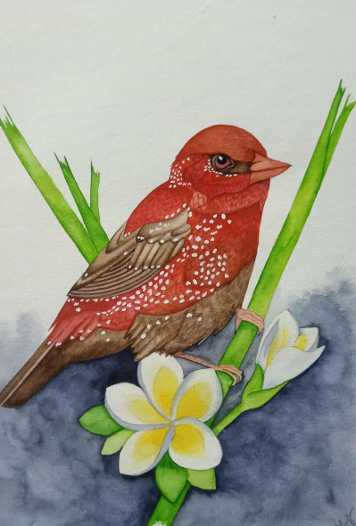 Bird Painting (ART-17940-119594) - Handpainted Art Painting - 24in X 8in